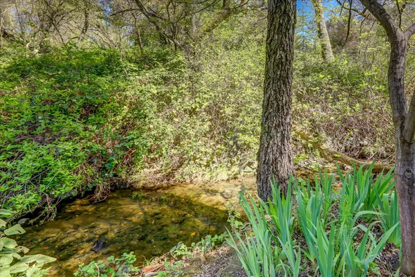 a view of a hallway with wooden floor and a potted plant