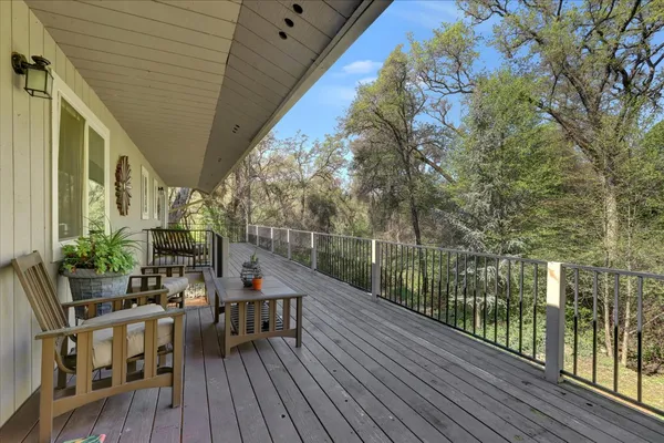 a view of a yard with plants and trees