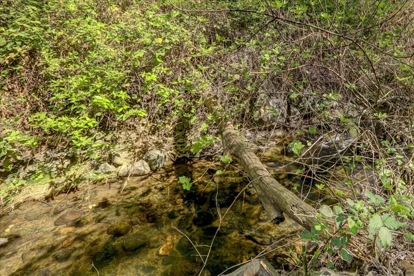 $495,000 | 17862 Foxtail Drive, Penn Valley, CA 95946