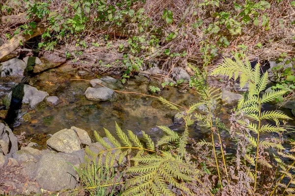 $495,000 | 17862 Foxtail Drive, Penn Valley, CA 95946