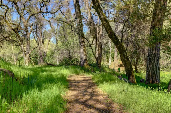 $495,000 | 17862 Foxtail Drive, Penn Valley, CA 95946