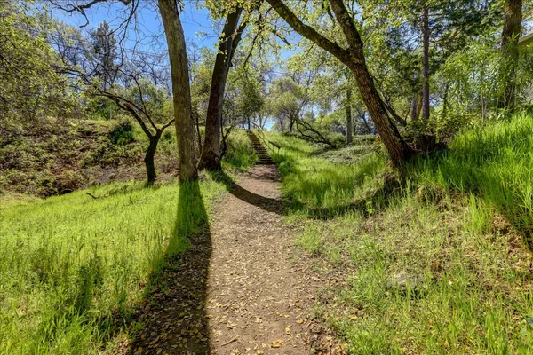 $495,000 | 17862 Foxtail Drive, Penn Valley, CA 95946