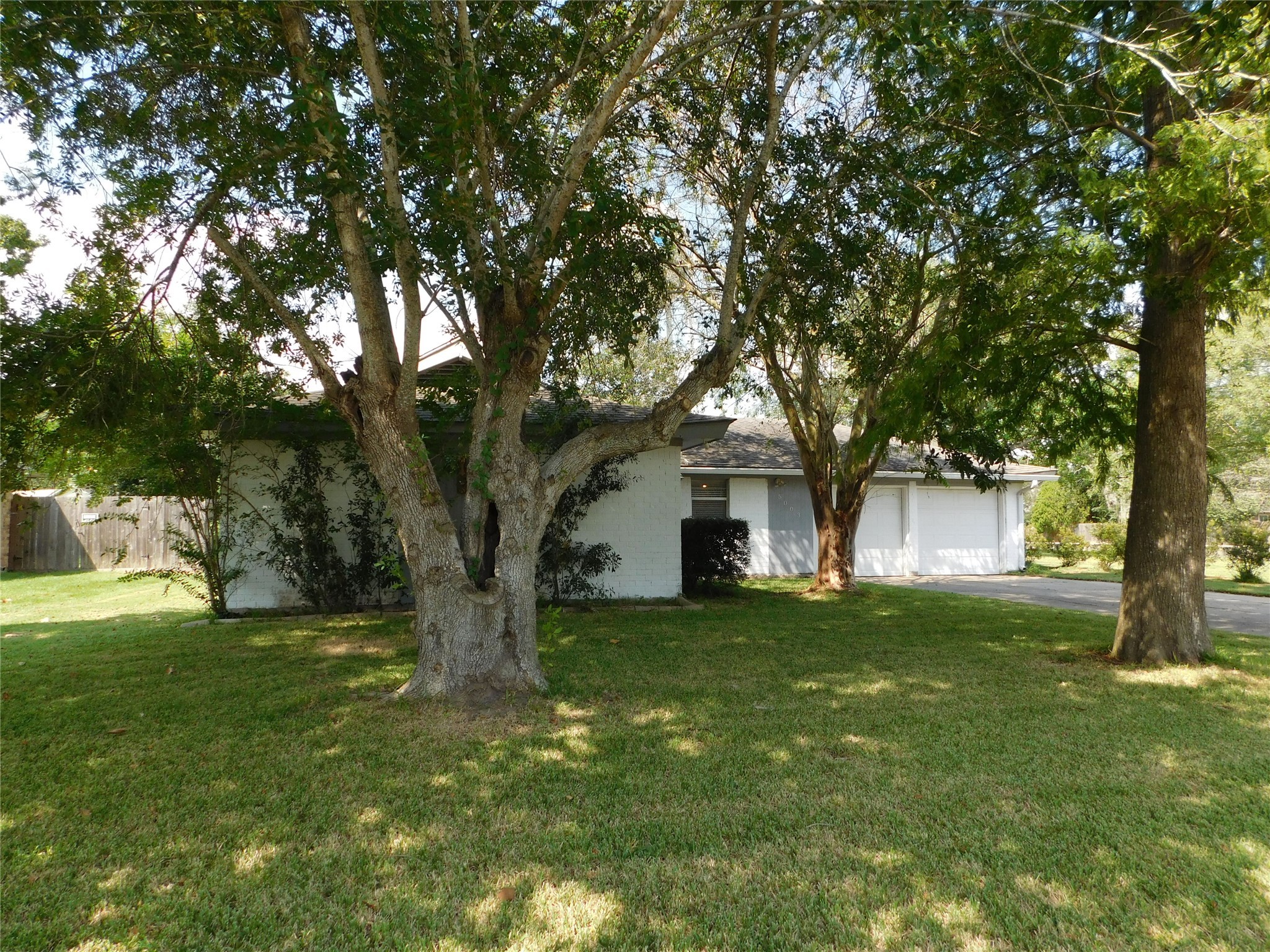 5003 Apple Springs Drive Pearland, TX 77584 - Photo 2 of 29 a tree in front of white house