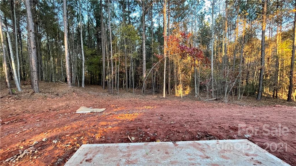 1382 High Shoals Road Lincolnton, NC 28092 - Photo 3 of 8 Gallery Image 3