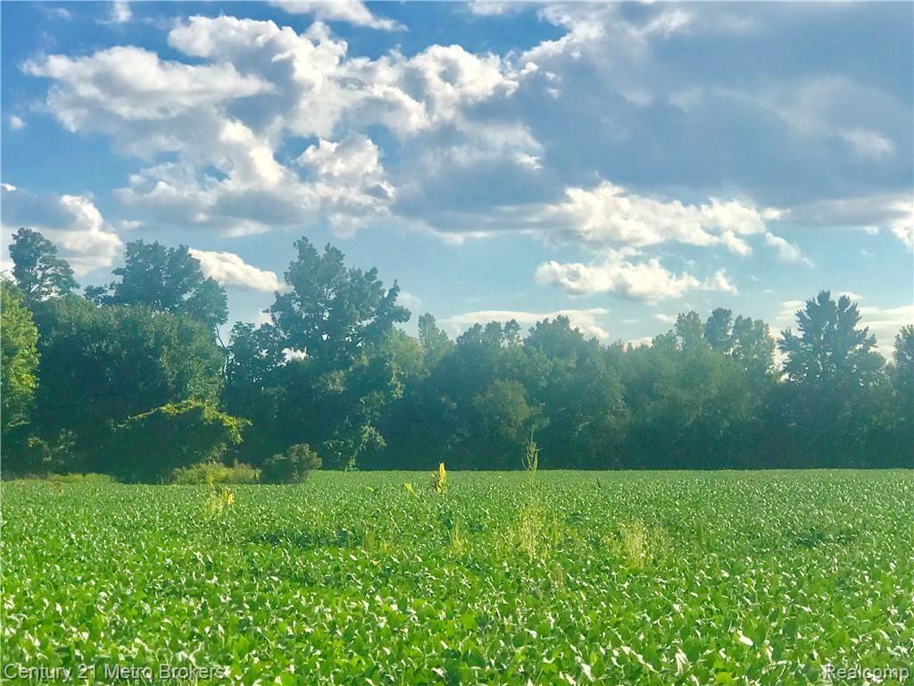4383 North Oak Road Davison, MI 48423 - Photo 3 of 5