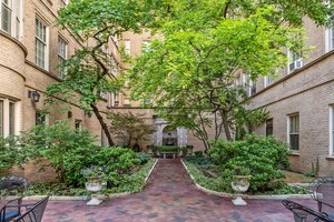 60 East Scott Street, Unit 703 Chicago, IL 60610 - Photo 26 of 27 a view of a pathway both side of house