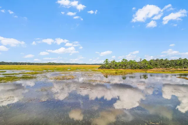 $750,000 | 1329 Coopers Landing Drive Northeast, Townsend, GA 31331