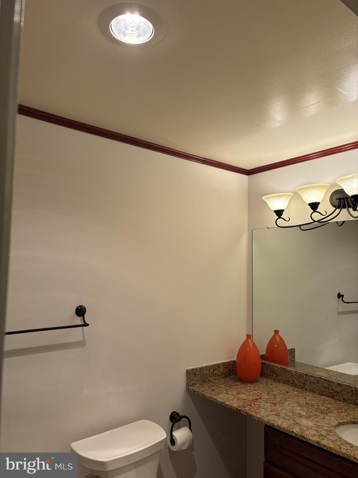 1900 Lyttonsville Road, Unit 1315 Silver Spring, MD 20910 - Photo 12 of 43 Heat lamp