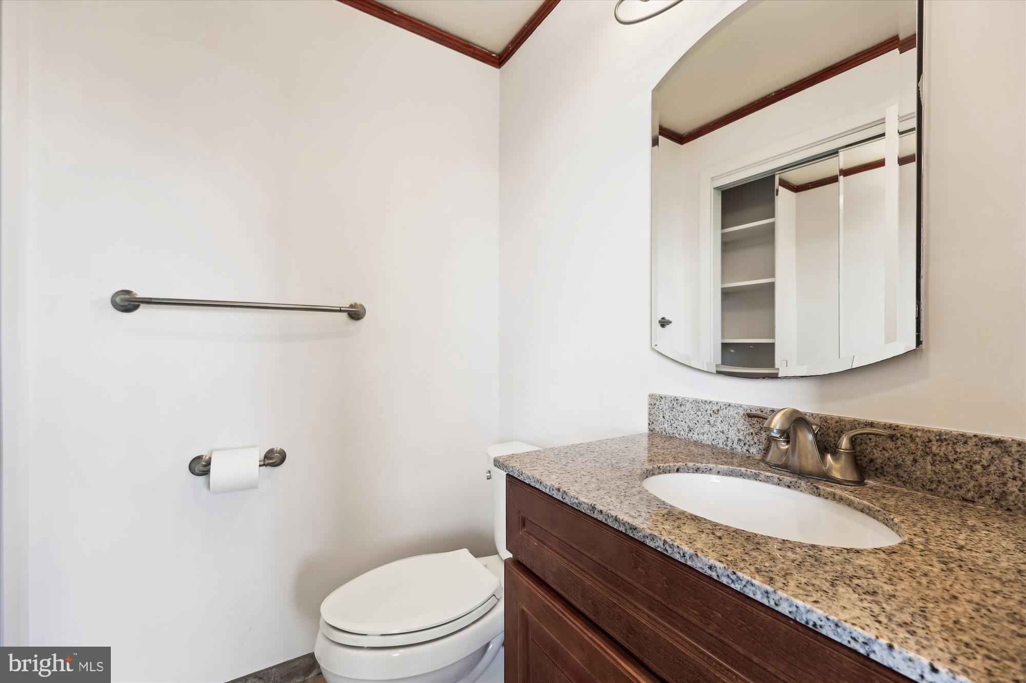 1900 Lyttonsville Road, Unit 1315 Silver Spring, MD 20910 - Photo 15 of 43 Primary bath