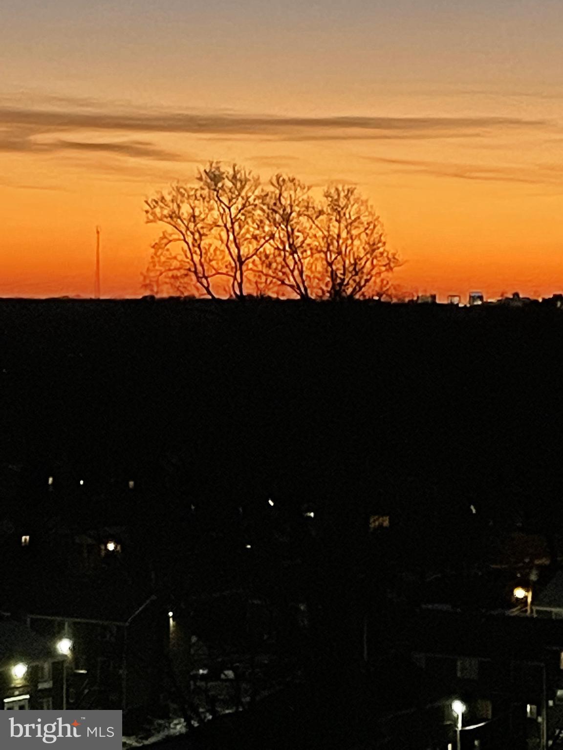 1900 Lyttonsville Road, Unit 1315 Silver Spring, MD 20910 - Photo 40 of 43 Sunset views
