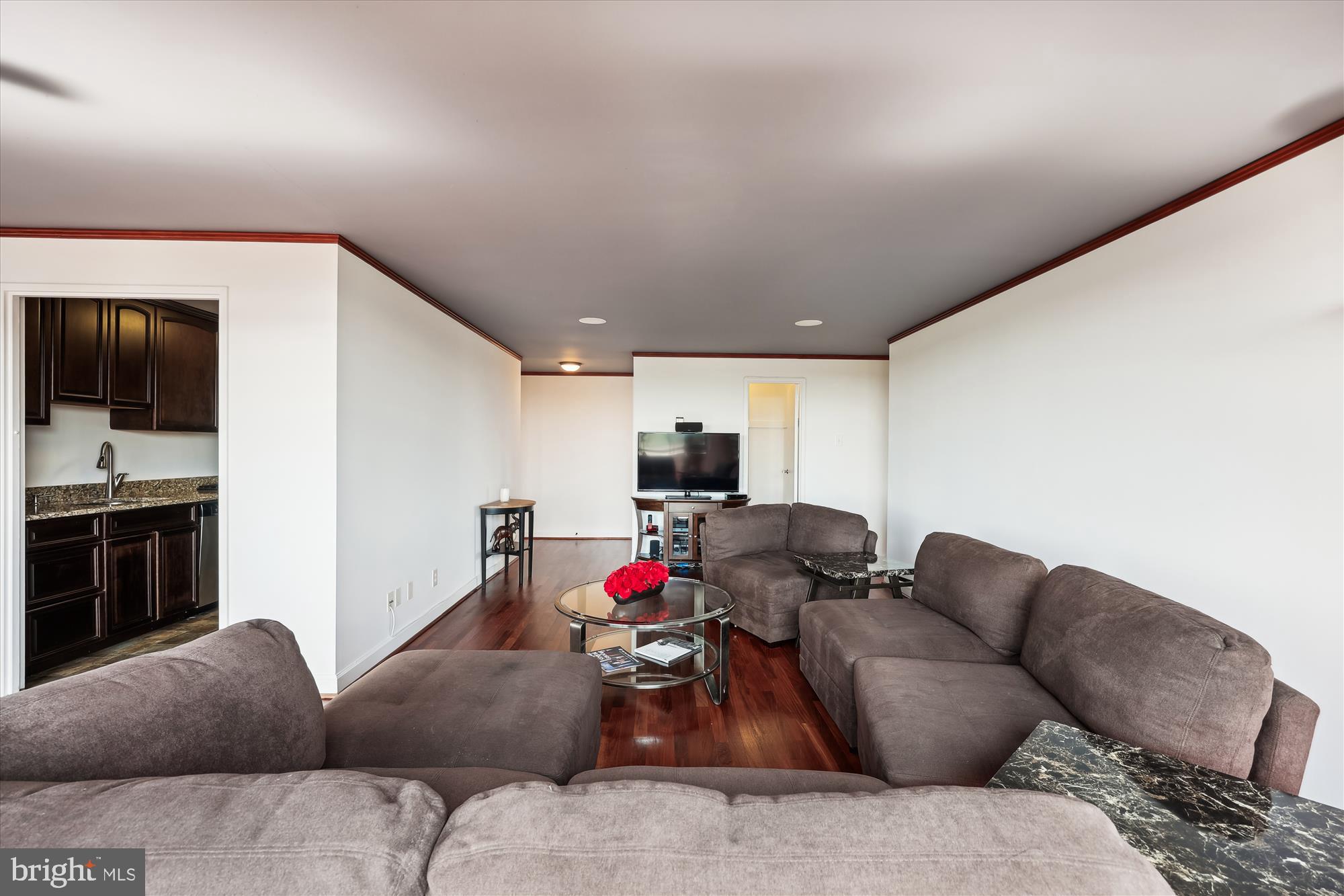1900 Lyttonsville Road, Unit 1315 Silver Spring, MD 20910 - Photo 6 of 43 Living room