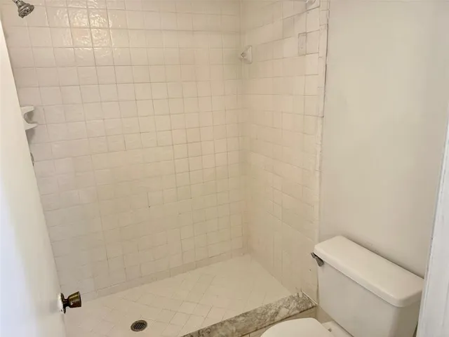 a bathroom with a shower and toilet