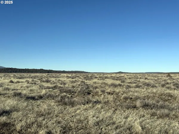 a view of a dry yard