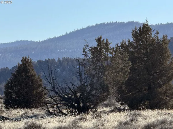 a view of a dry field