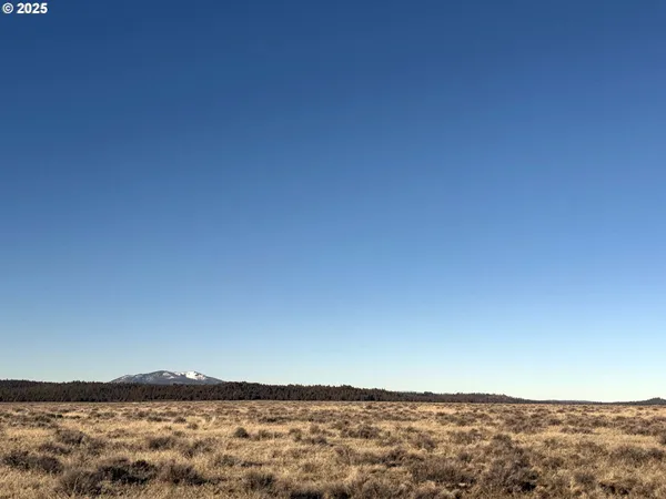 a view of city and mountain