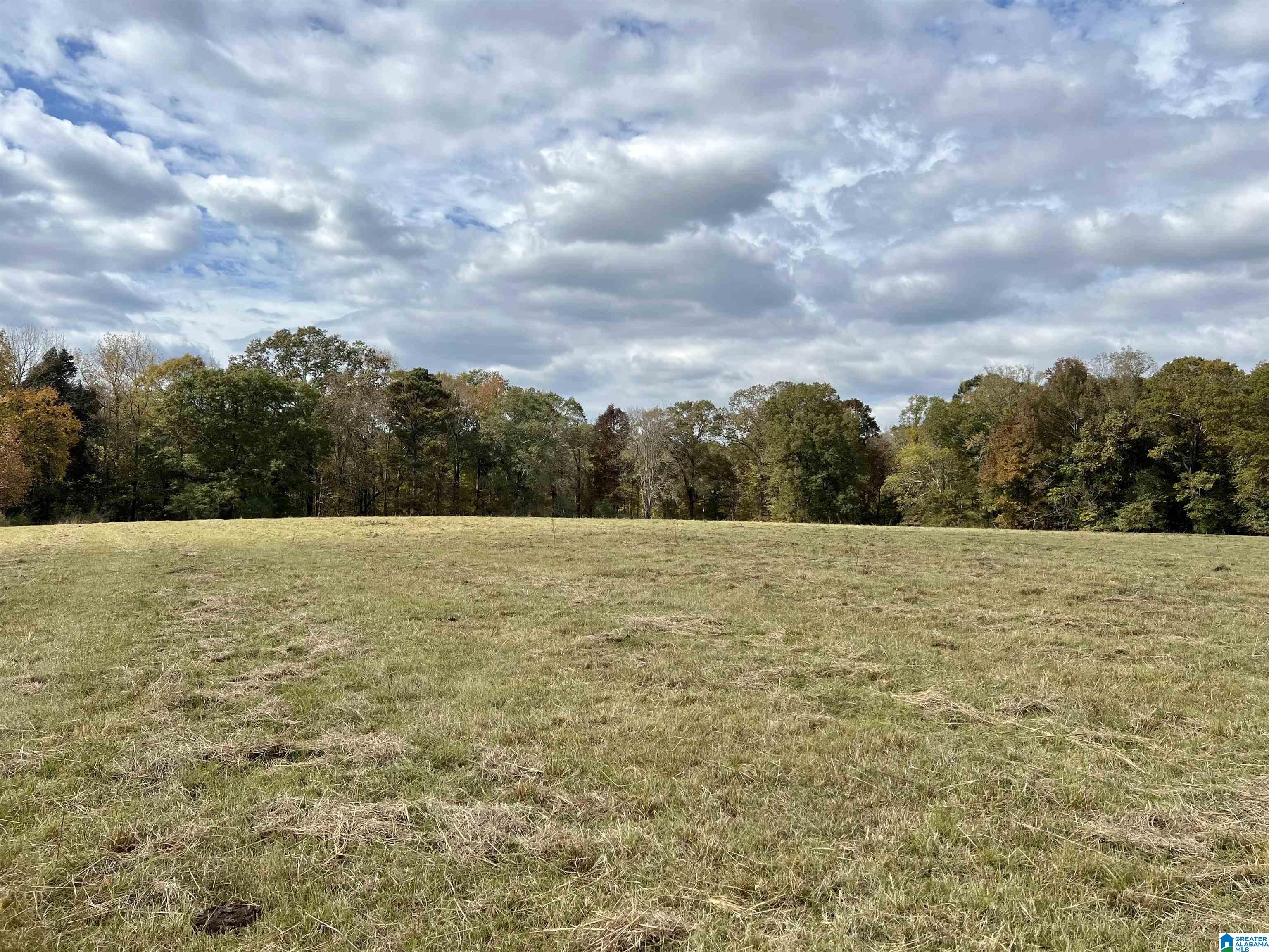 0 Rock Springs Road, Unit 52 24 Warrior, AL 35180 - Photo 16 of 39