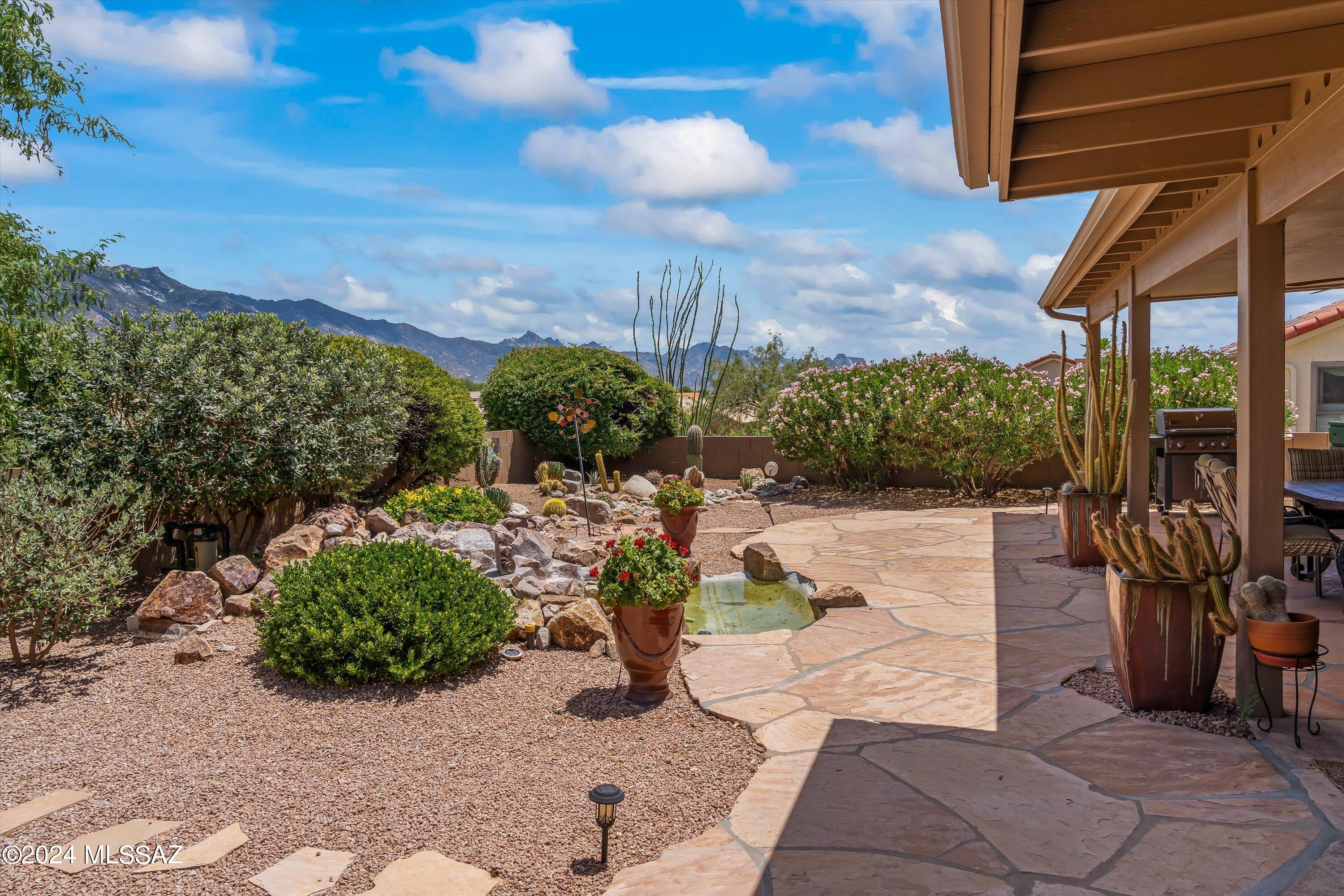 36031 Mesa Ridge Drive Tucson, AZ 85739 - Photo 42 of 45