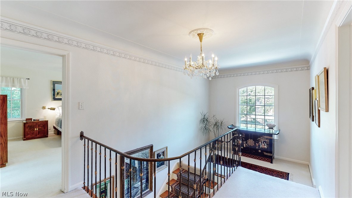 3117 Laurel Road Cleveland, OH 44120 - Photo 18 of 49 Gallery Image 18