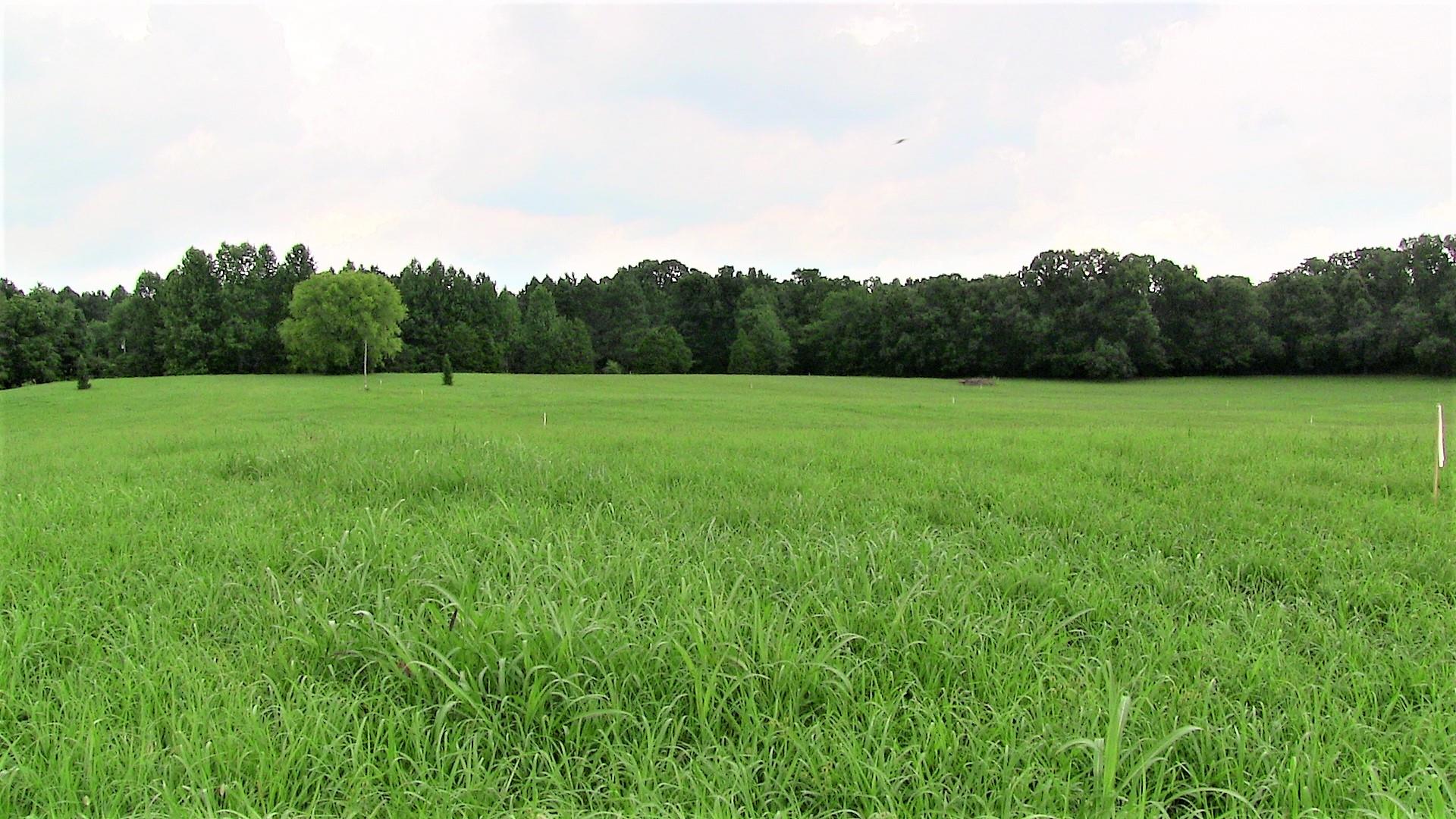 2 Academy Road Lebanon, TN 37087 - Photo 6 of 20 a view of field with trees in the background