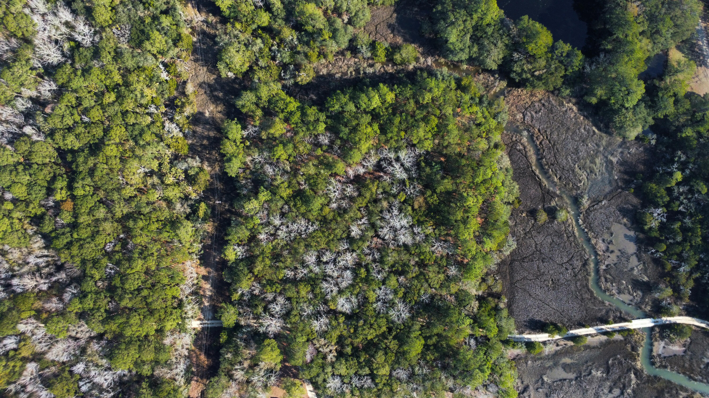 3733 North N Highway, Unit TRACT 2 McClellanville, SC 29458 - Photo 11 of 12 7-aerial