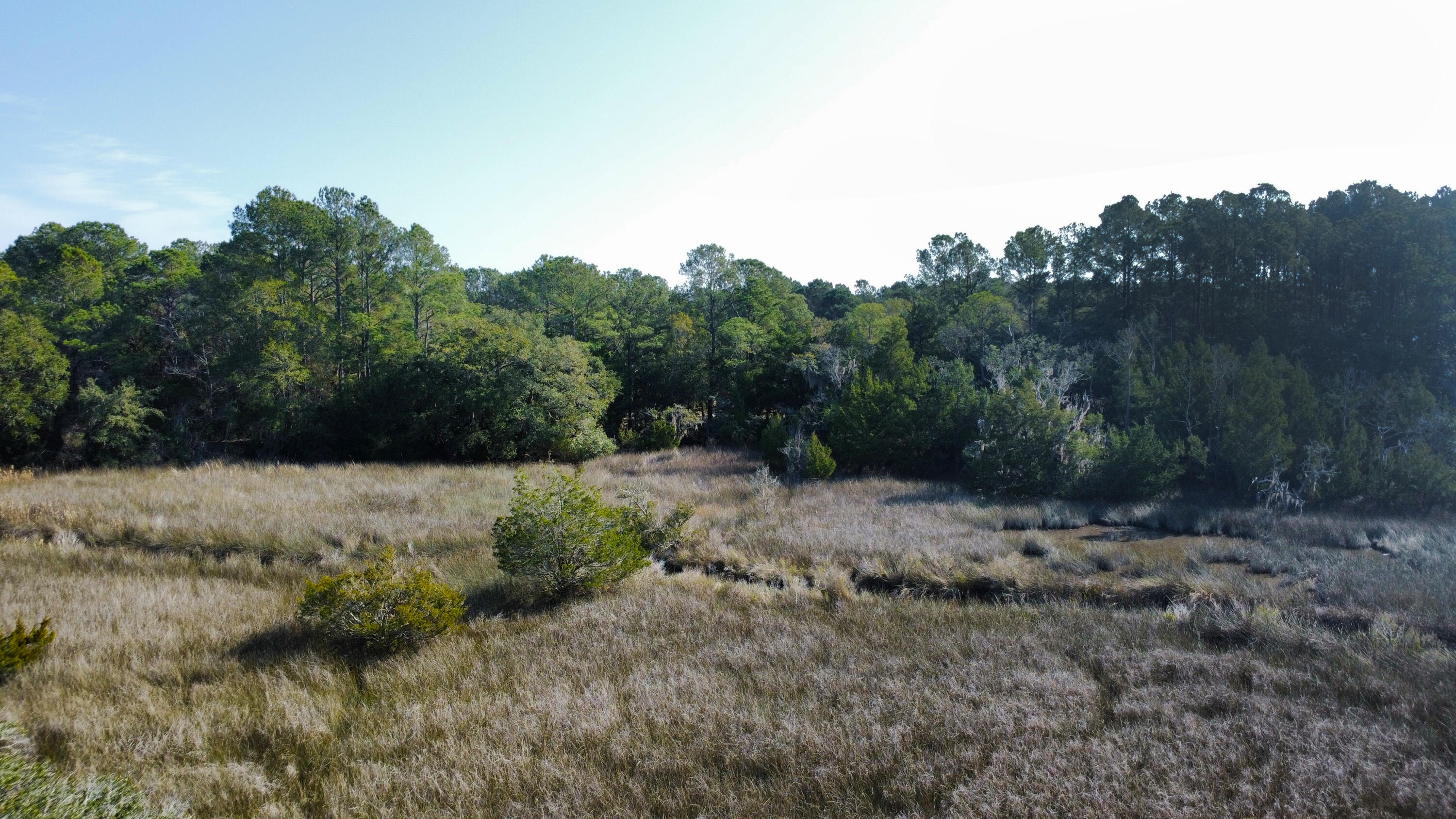3733 North N Highway, Unit TRACT 2 McClellanville, SC 29458 - Photo 12 of 12 12-View