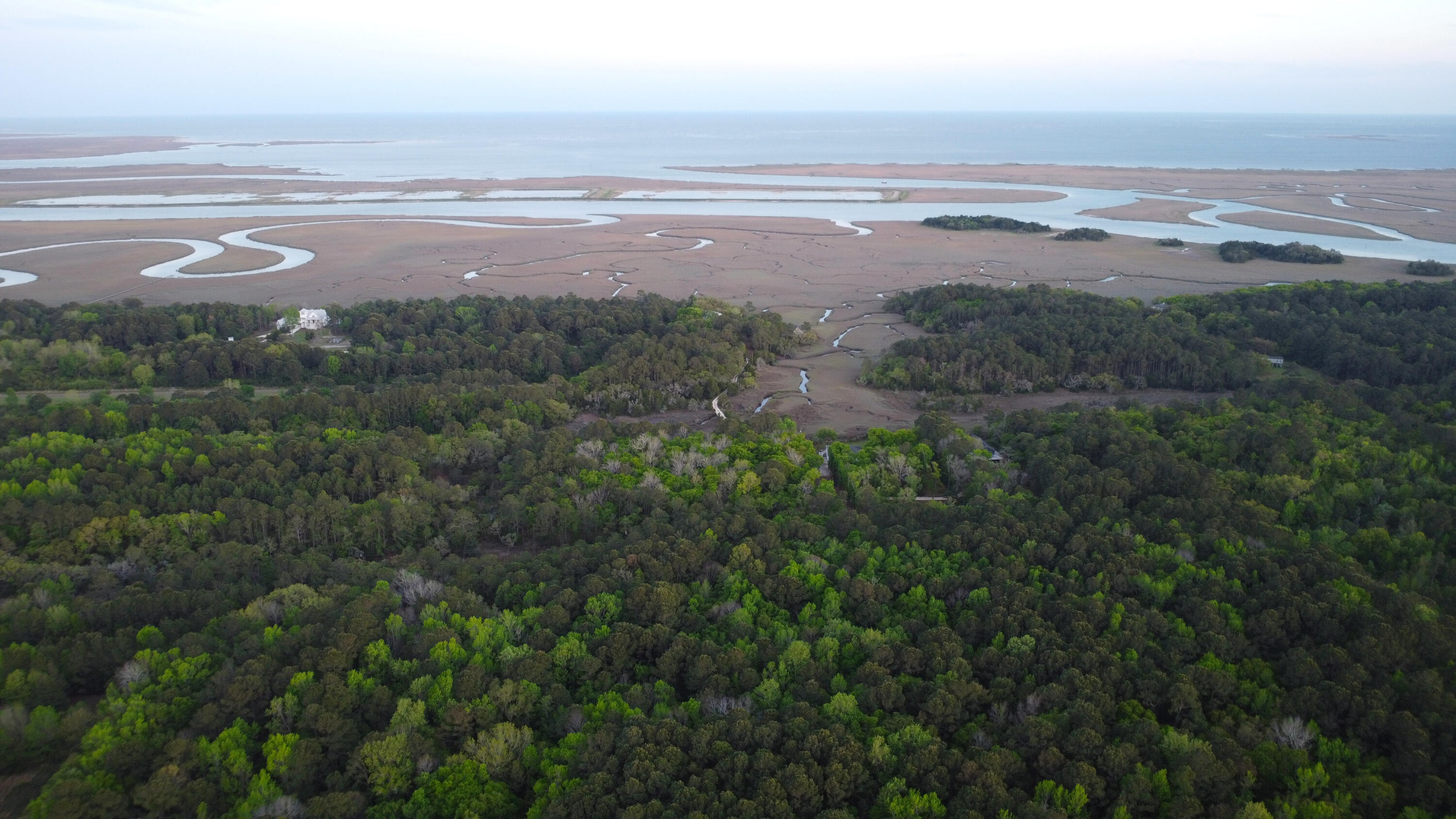 3733 North N Highway, Unit TRACT 2 McClellanville, SC 29458 - Photo 7 of 12 3-aerial