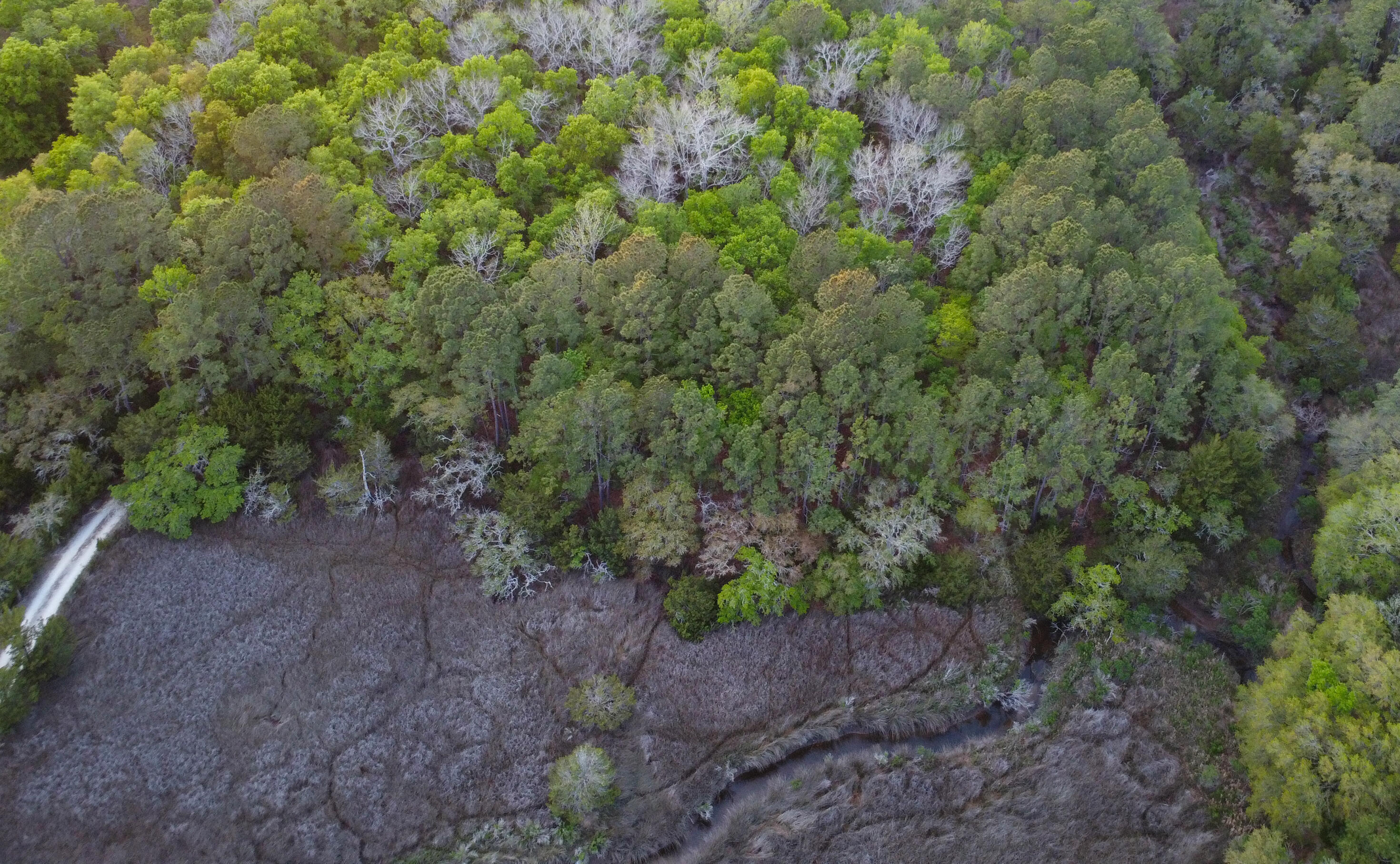 3733 North N Highway, Unit TRACT 2 McClellanville, SC 29458 - Photo 9 of 12 5-aerial