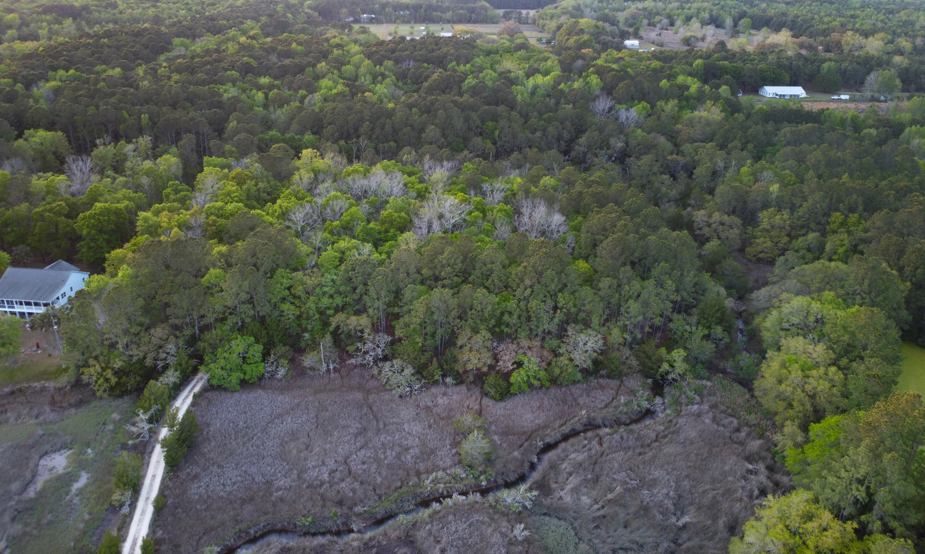 3733 North N Highway, Unit TRACT 2 McClellanville, SC 29458 - Photo 10 of 12 6-aerial