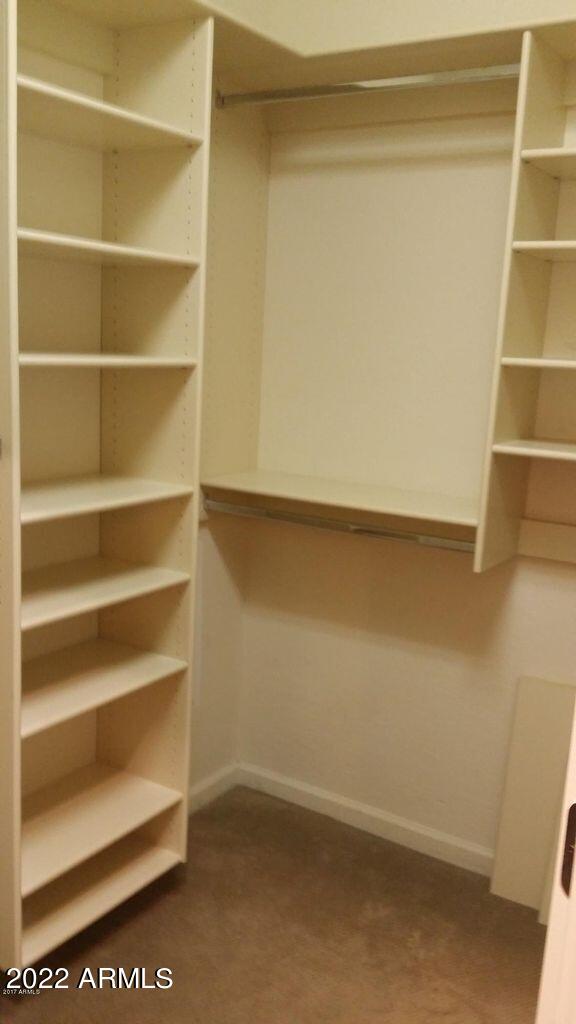 3935 East Rough Rider Road, Unit 1074 Phoenix, AZ 85050 - Photo 16 of 22 closet