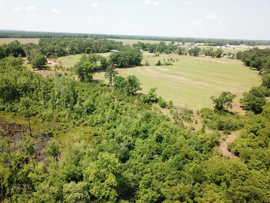 4.7-acres Lot 3 4.7-acres Road Fort Rucker, AL 36362 - Photo 2 of 5