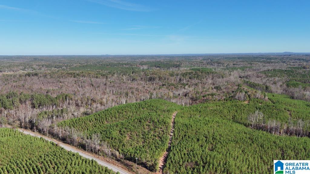 0 County Road 65 Fruithurst, AL 36262 - Photo 3 of 14