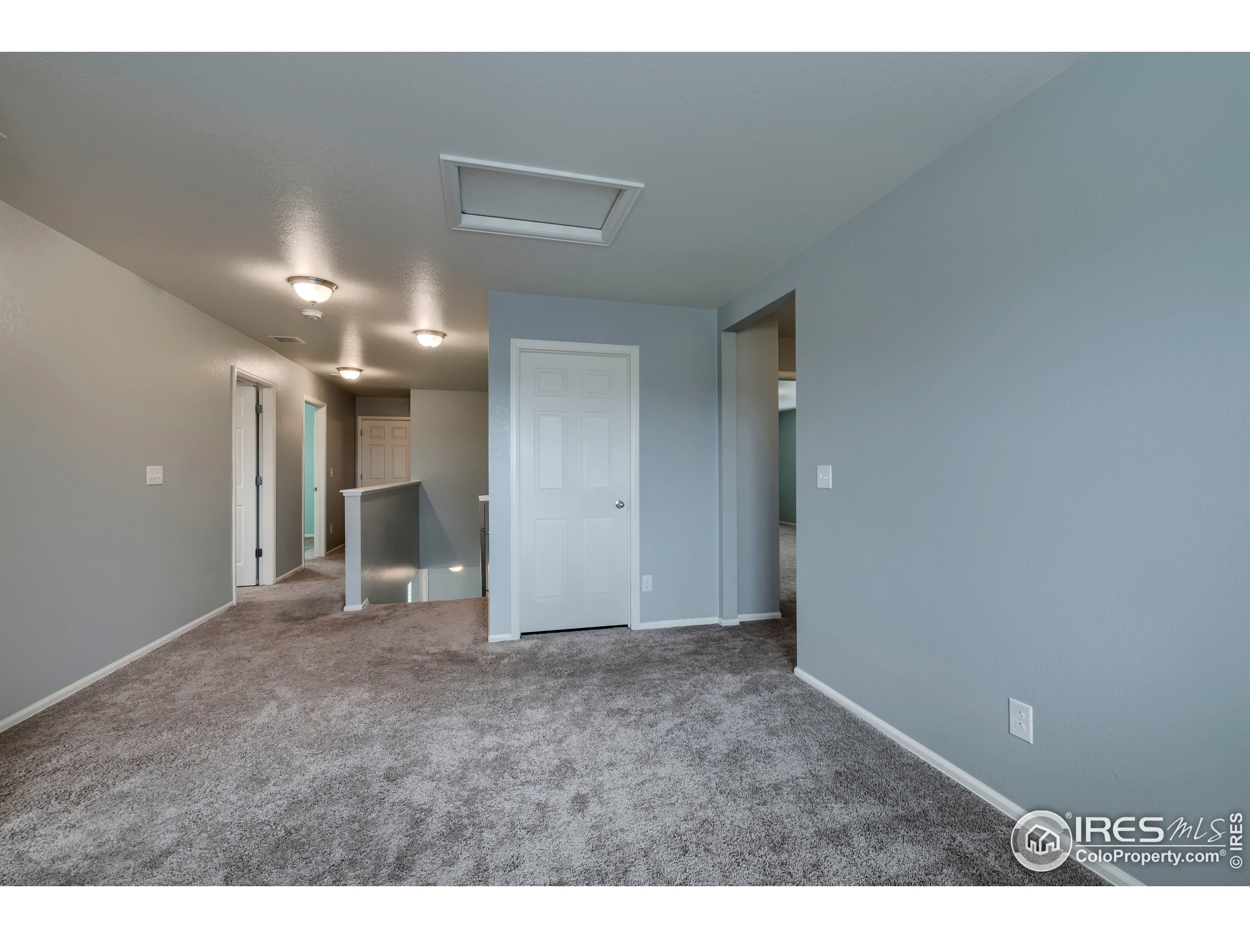 6778 Coach Light Timnath, CO 80547 - Photo 22 of 40