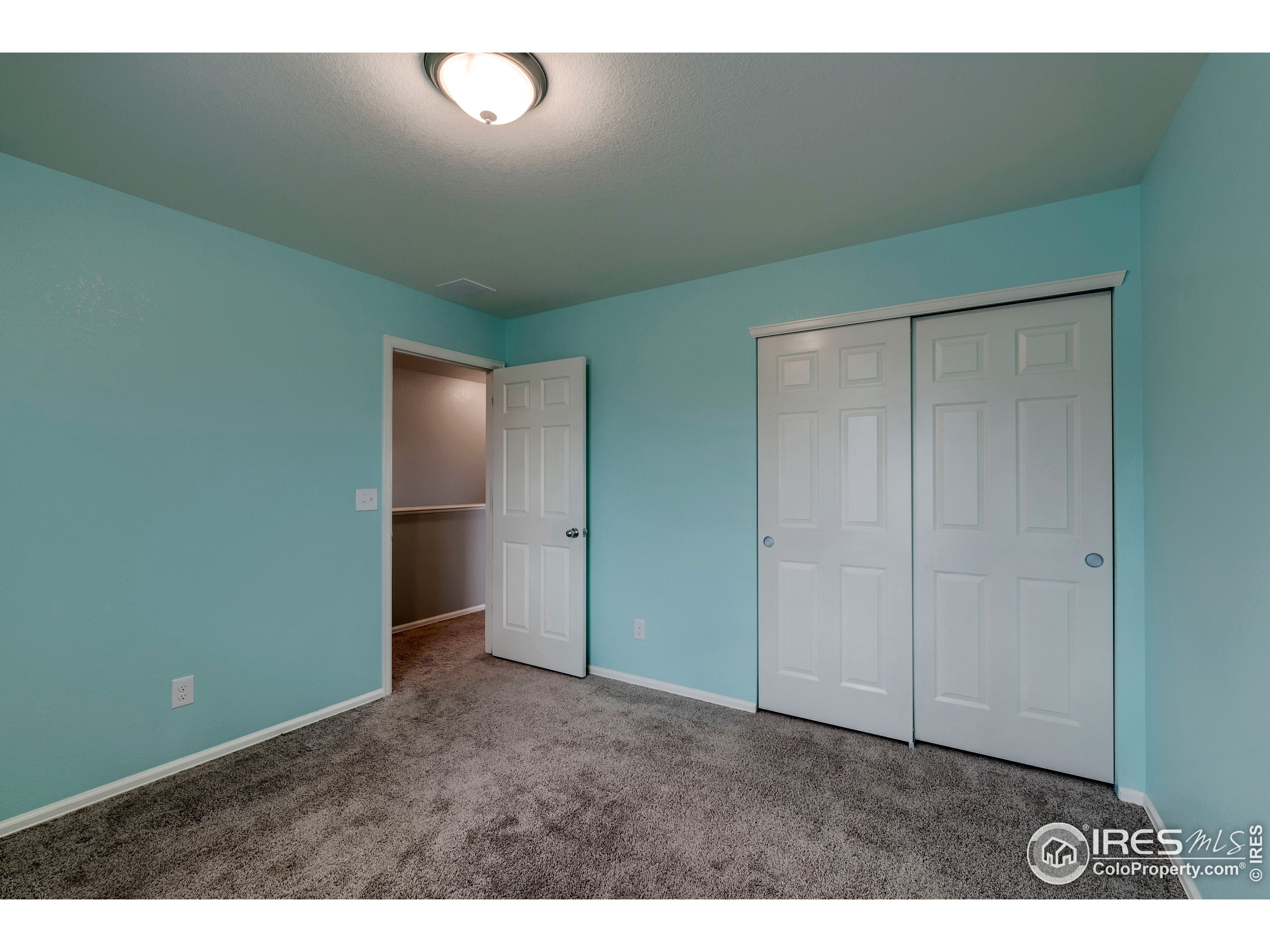 6778 Coach Light Timnath, CO 80547 - Photo 29 of 40