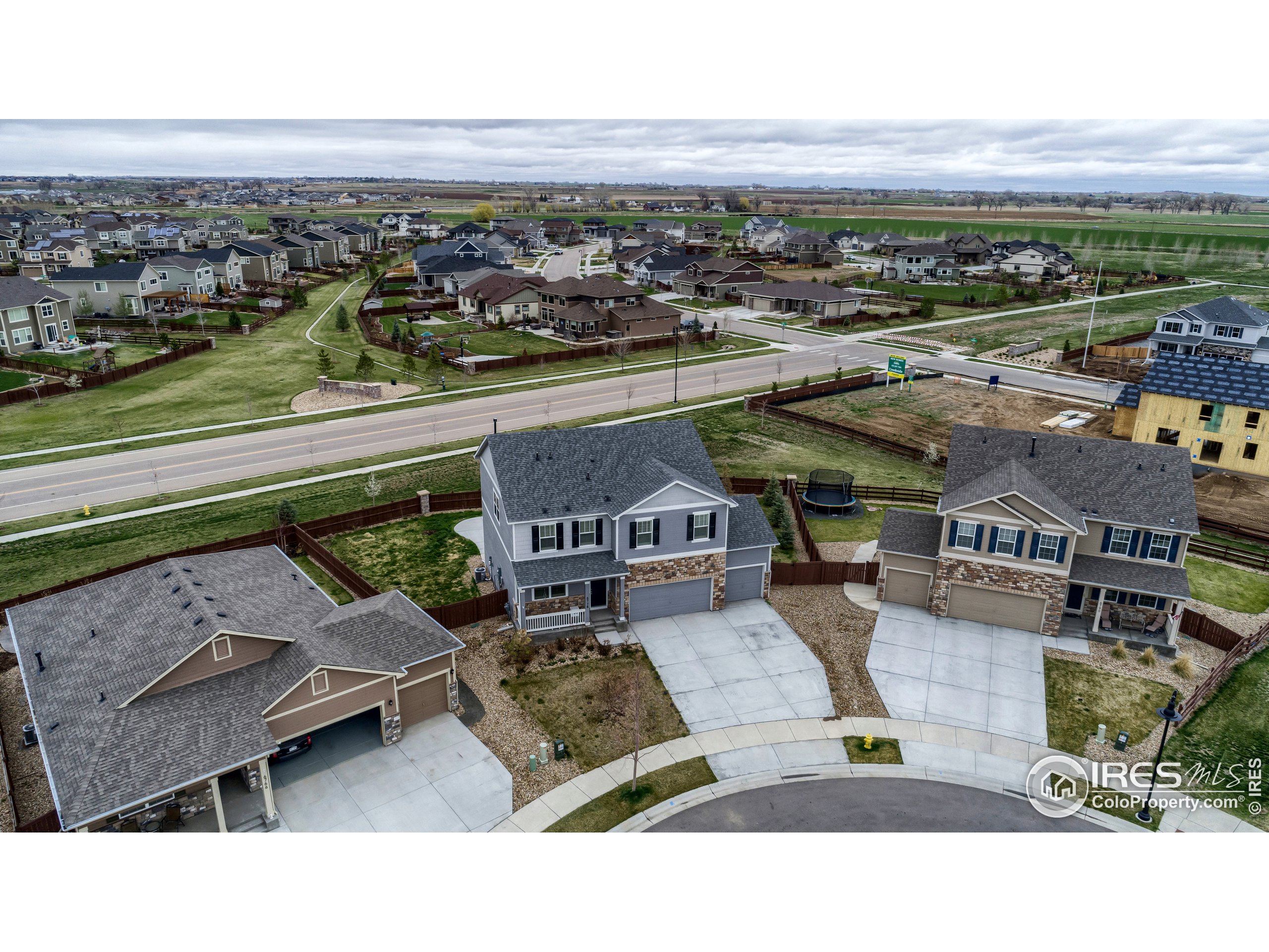 6778 Coach Light Timnath, CO 80547 - Photo 4 of 40