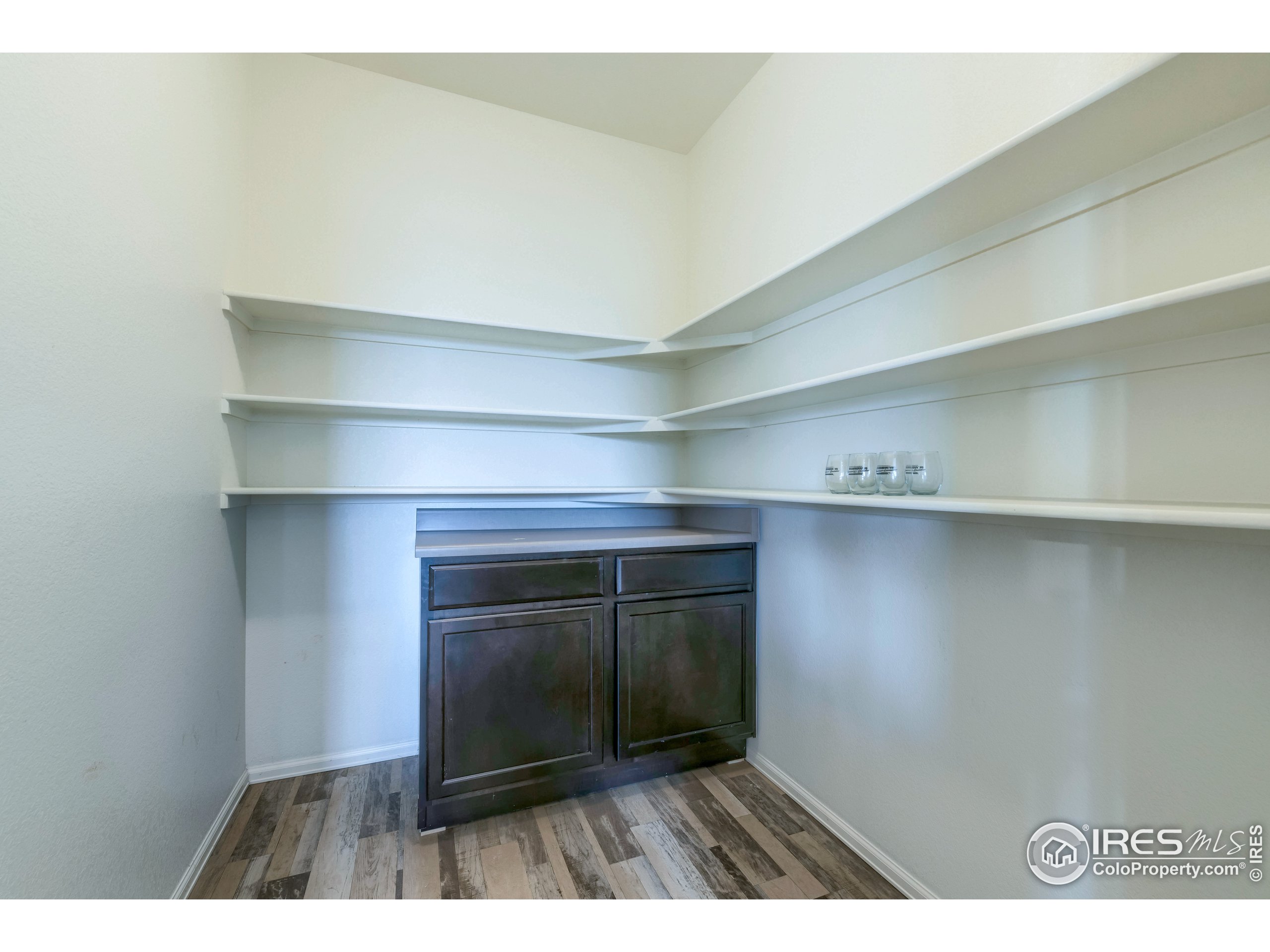 6778 Coach Light Timnath, CO 80547 - Photo 7 of 40