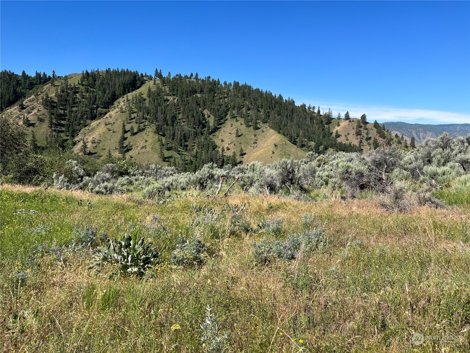 54 Tyee View Loop Waterville, WA 98858 - Photo 1 of 15 Gallery Image 1