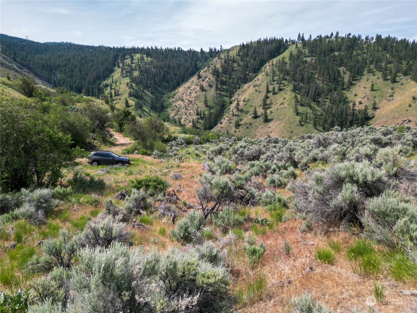 54 Tyee View Loop Waterville, WA 98858 - Photo 12 of 15 Gallery Image 12