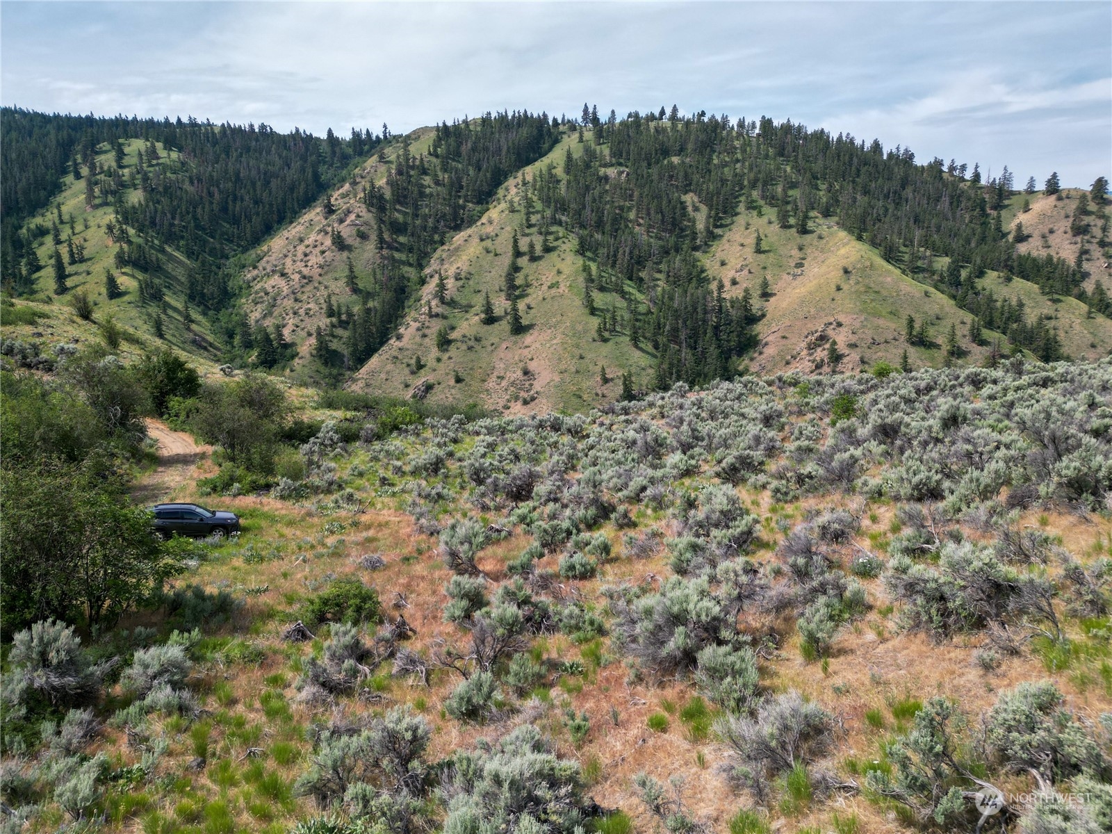 54 Tyee View Loop Waterville, WA 98858 - Photo 13 of 15 Gallery Image 13