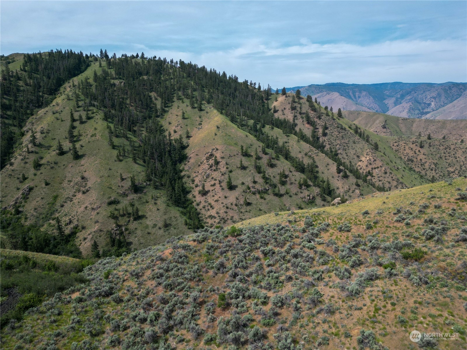 54 Tyee View Loop Waterville, WA 98858 - Photo 14 of 15 Gallery Image 14