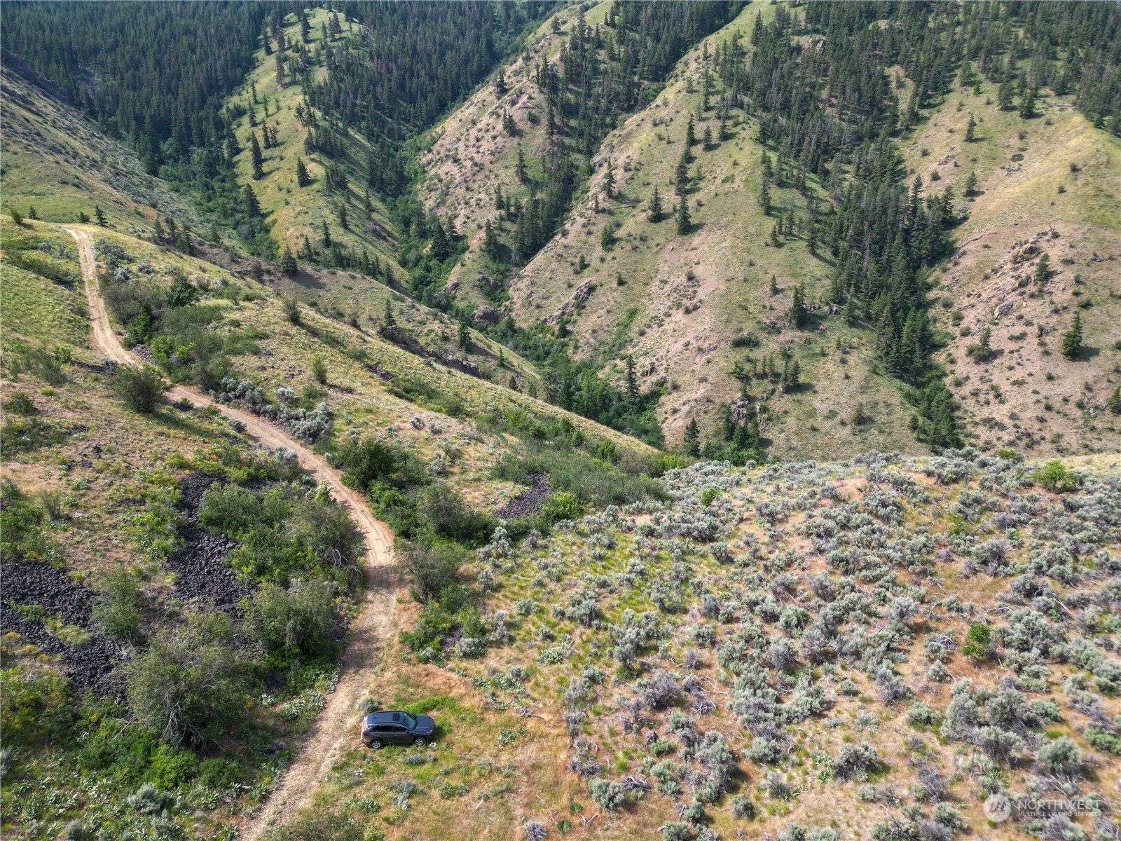 54 Tyee View Loop Waterville, WA 98858 - Photo 15 of 15 Gallery Image 15