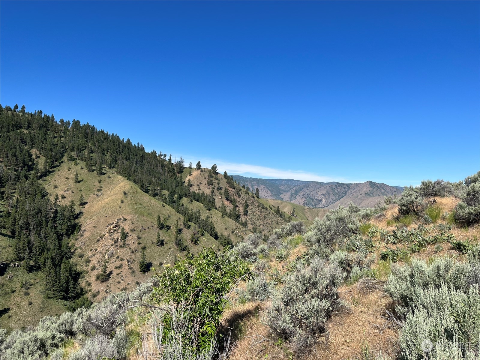 54 Tyee View Loop Waterville, WA 98858 - Photo 2 of 15 Gallery Image 2