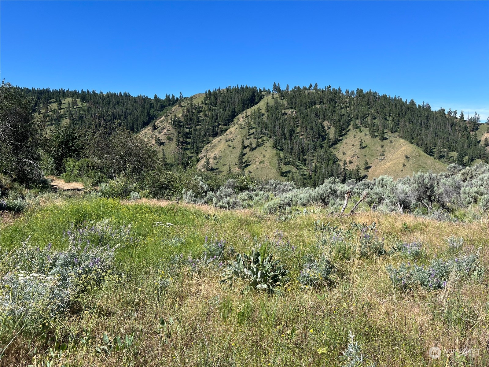 54 Tyee View Loop Waterville, WA 98858 - Photo 3 of 15 Gallery Image 3