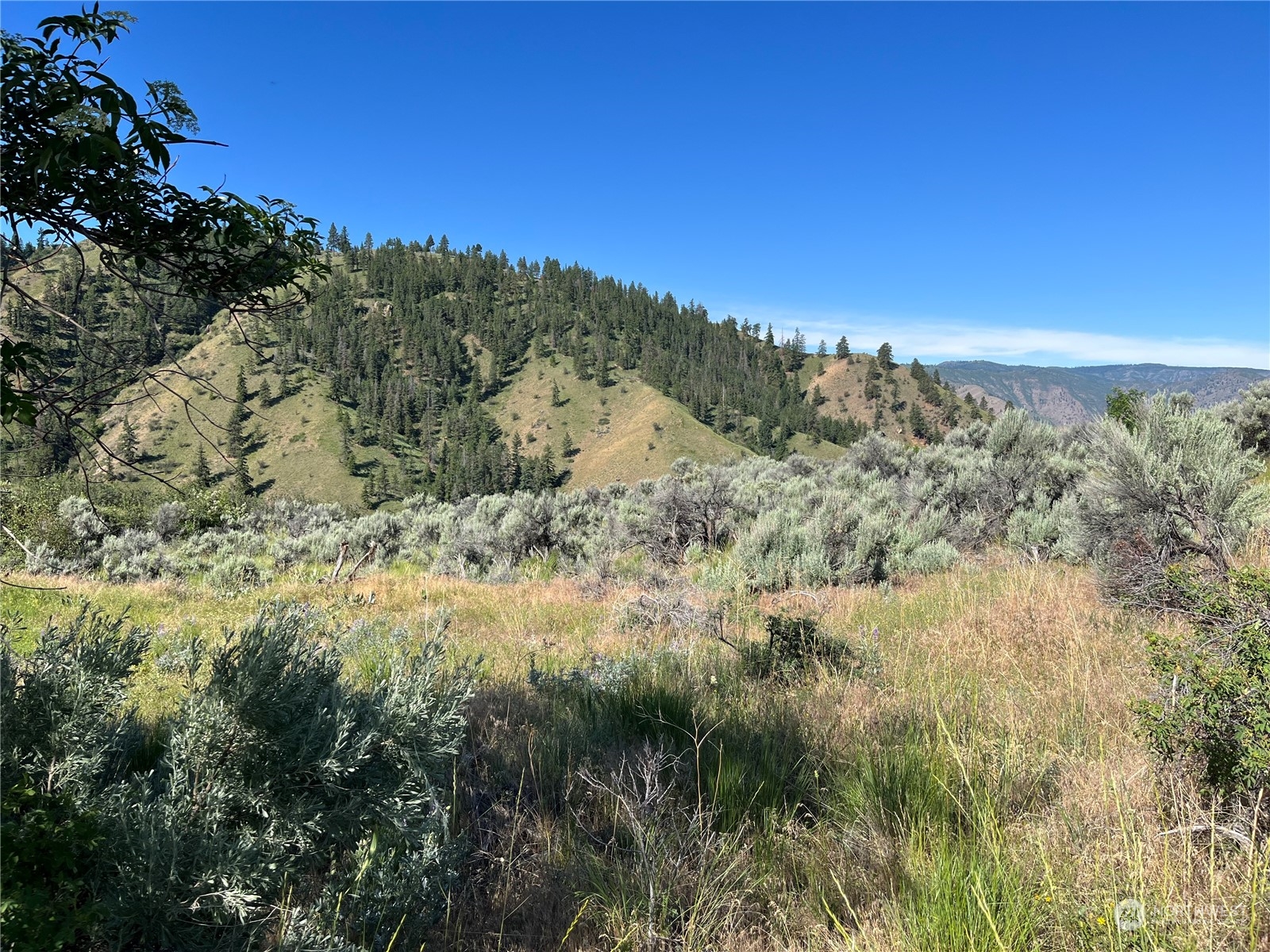 54 Tyee View Loop Waterville, WA 98858 - Photo 4 of 15 Gallery Image 4