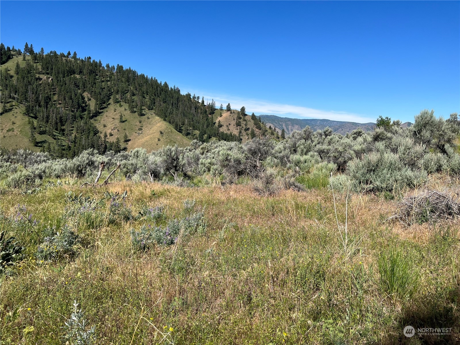 54 Tyee View Loop Waterville, WA 98858 - Photo 5 of 15 Gallery Image 5