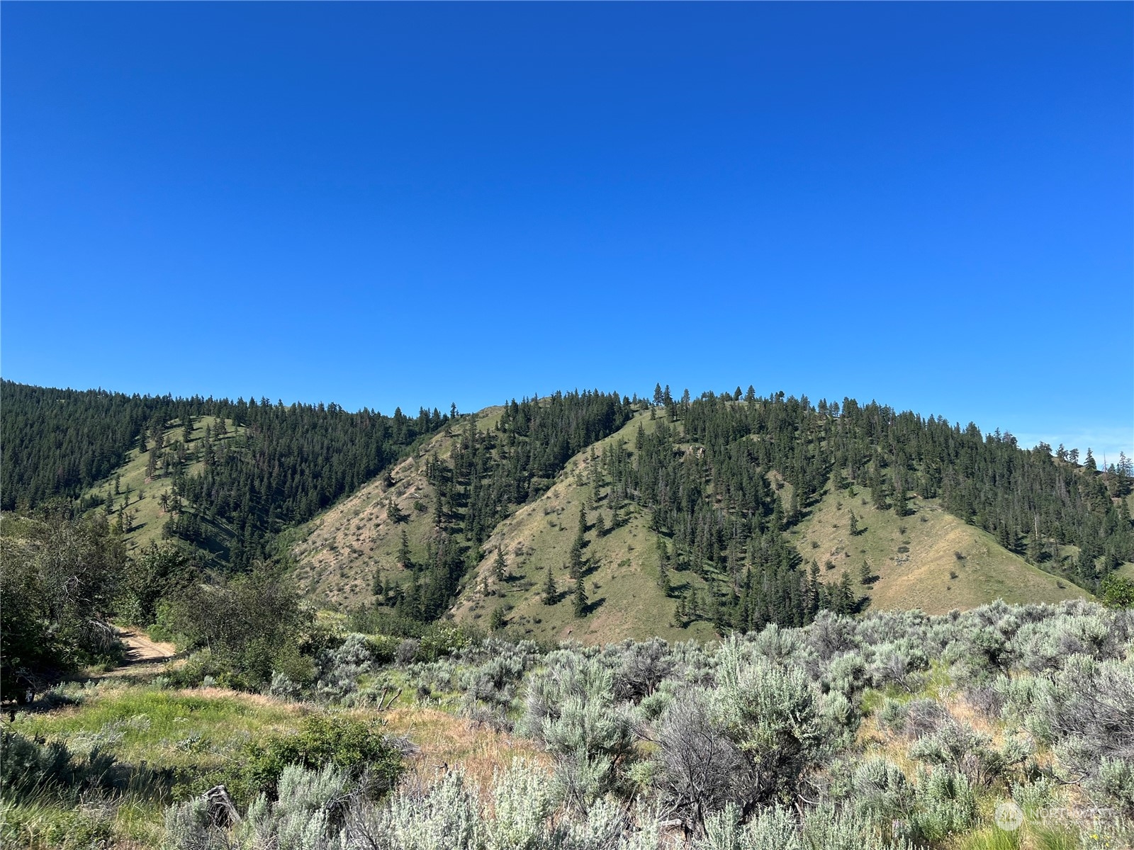 54 Tyee View Loop Waterville, WA 98858 - Photo 6 of 15 Gallery Image 6