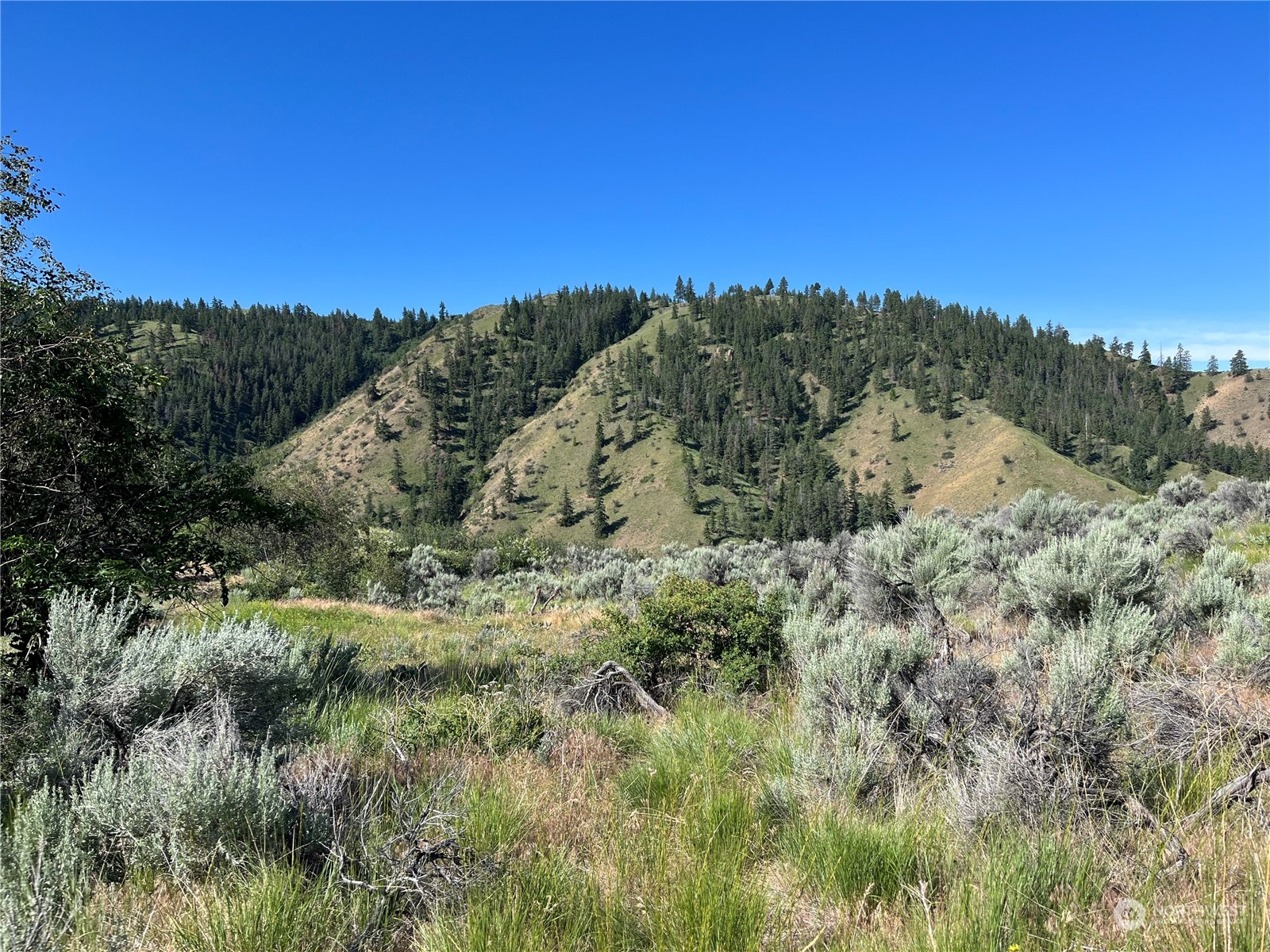 54 Tyee View Loop Waterville, WA 98858 - Photo 7 of 15 Gallery Image 7