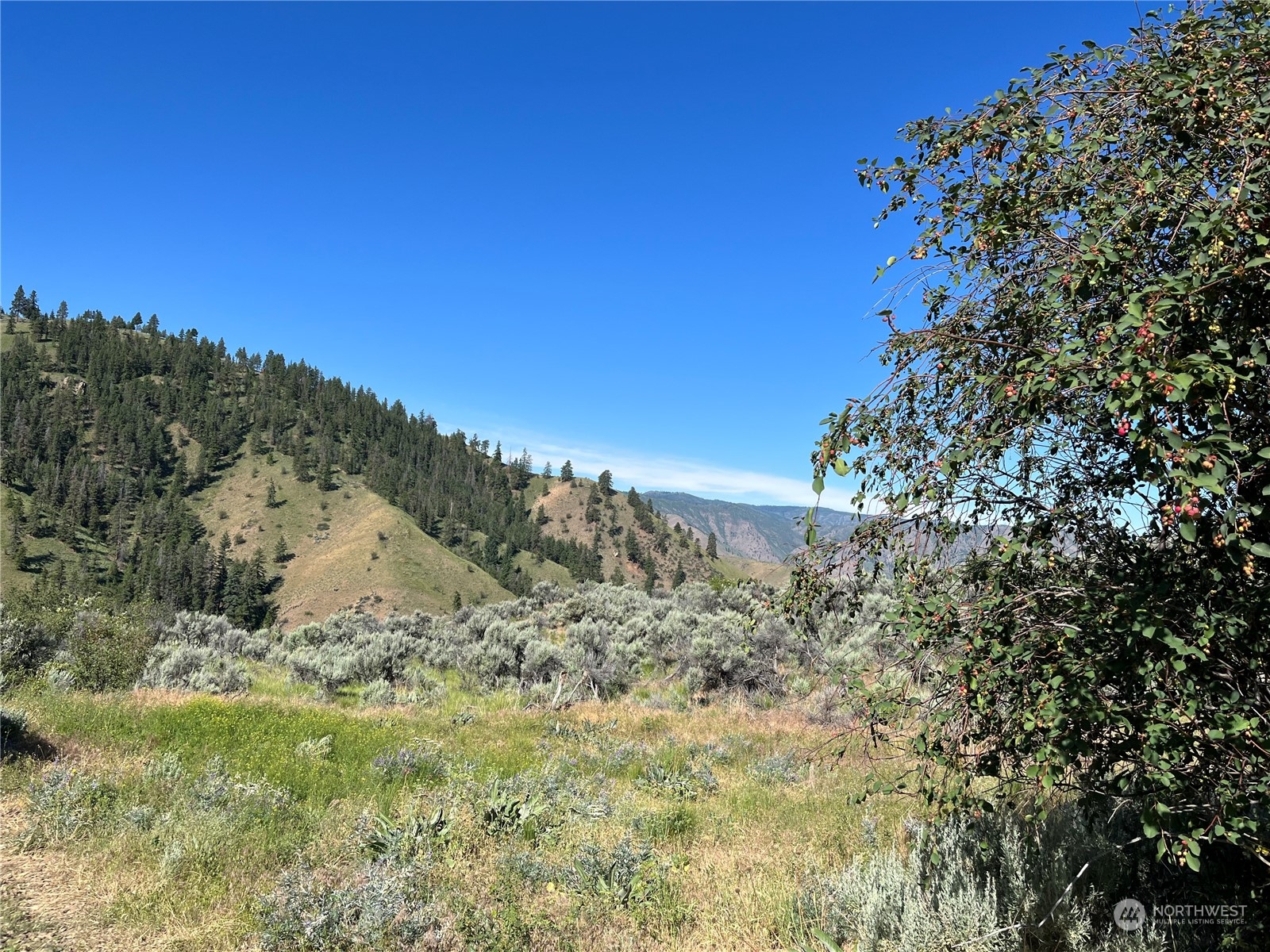 54 Tyee View Loop Waterville, WA 98858 - Photo 8 of 15 Gallery Image 8