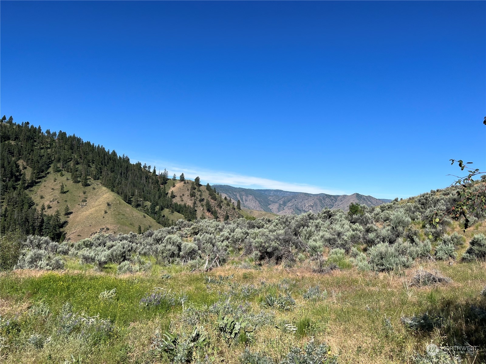 54 Tyee View Loop Waterville, WA 98858 - Photo 9 of 15 Gallery Image 9