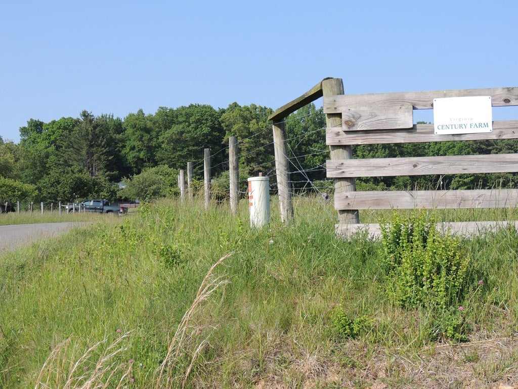 Tbd Martha's Knob Road, Unit 2 Galax, VA 24333 - Photo 15 of 32 Gallery Image 15