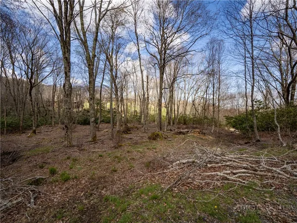 $210,000 | Es42 Firesong Lane, Banner Elk, NC 28604